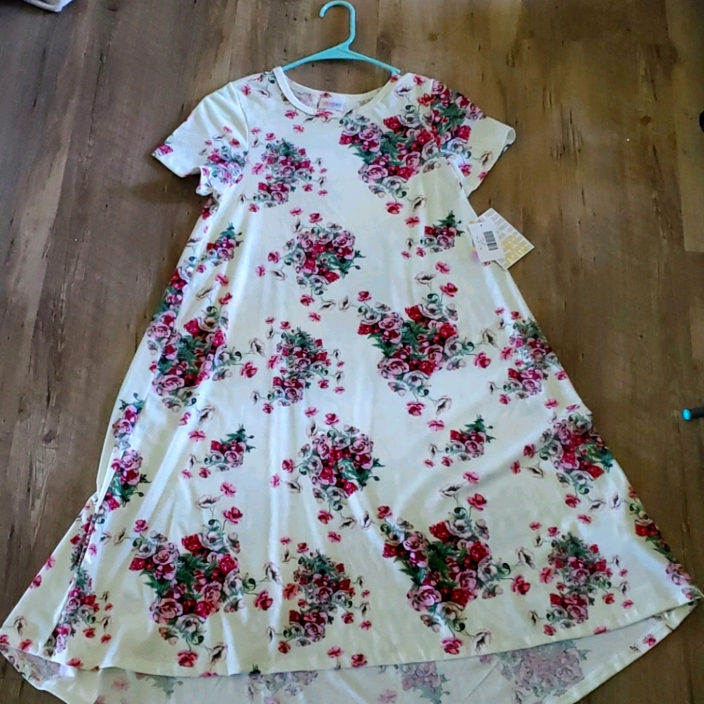 NWT Carly Dress